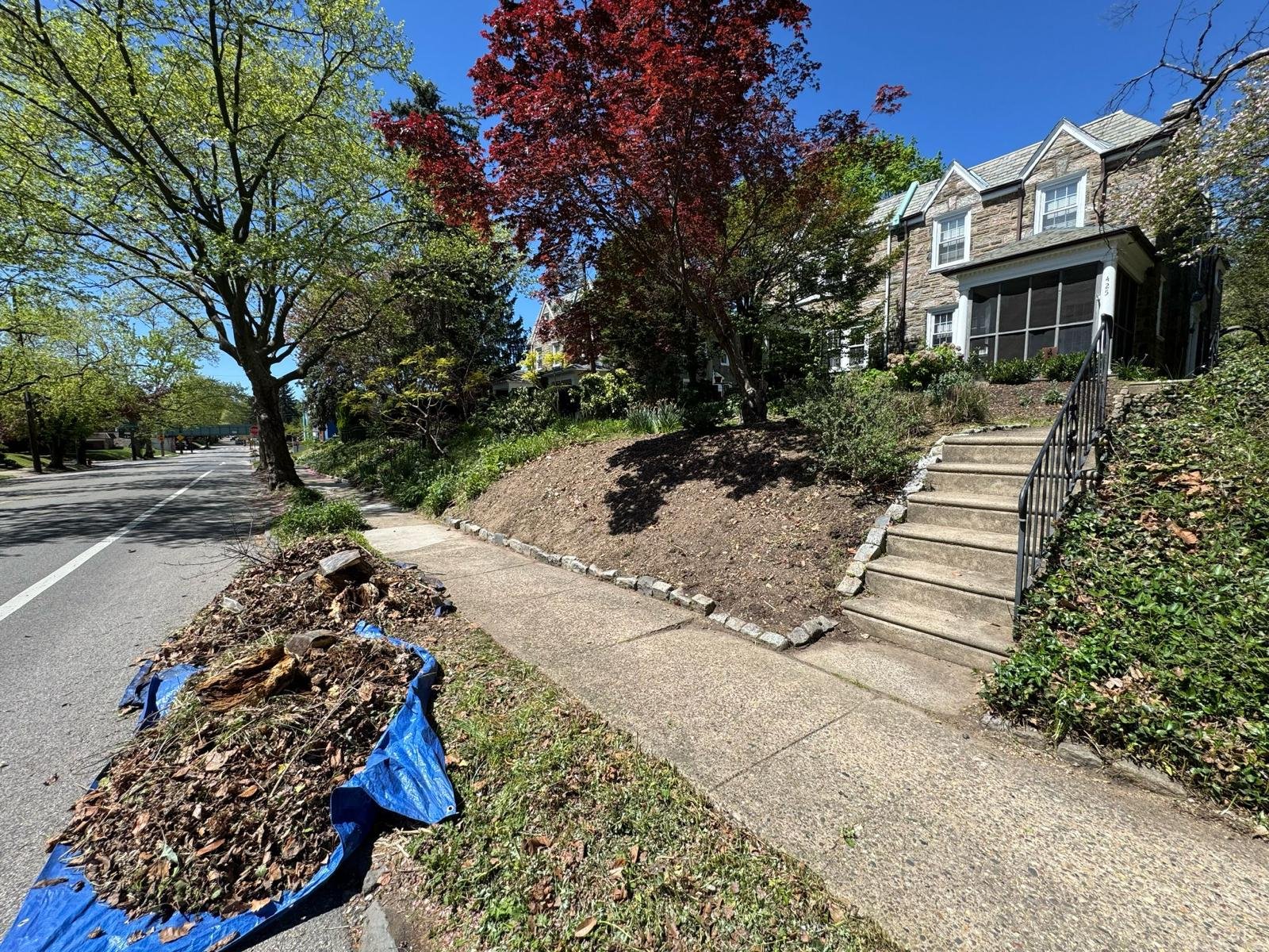 Green Force yard cleanup work